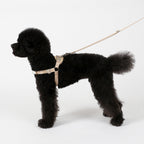 Horsebit Harness : Camel