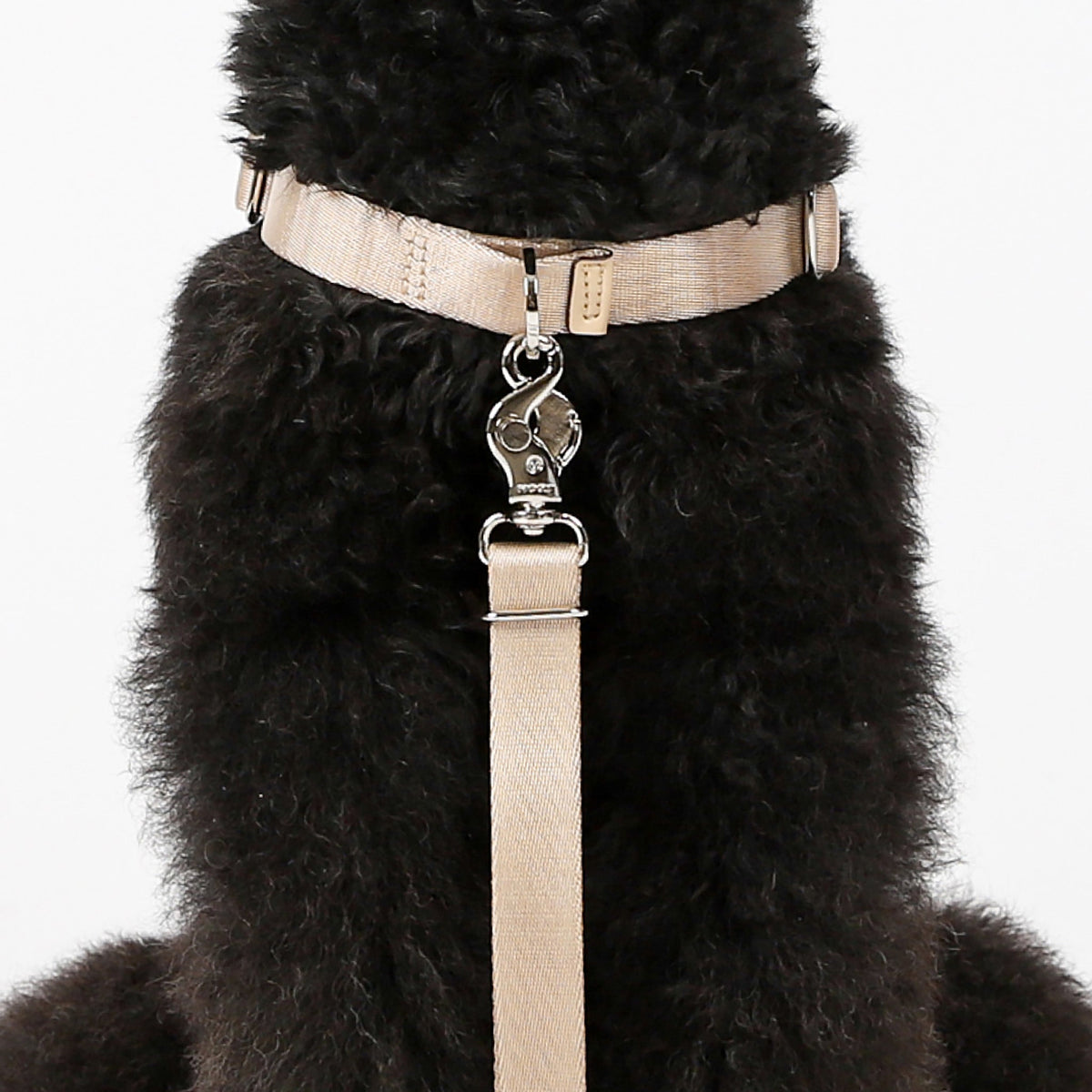 Horsebit Harness : Burgundy