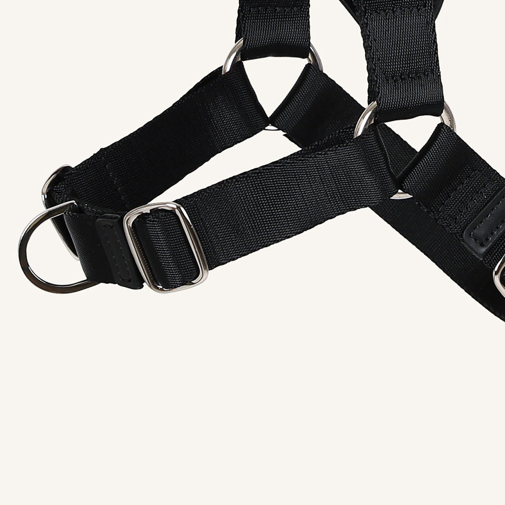 Horsebit Harness : Mocha