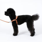 Horsebit Harness : Camel