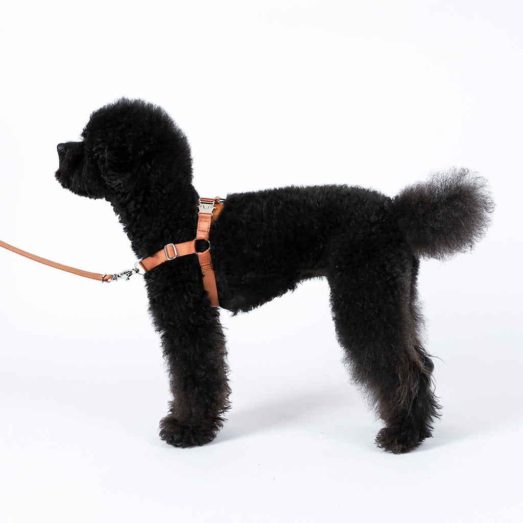 Horsebit Harness : Burgundy