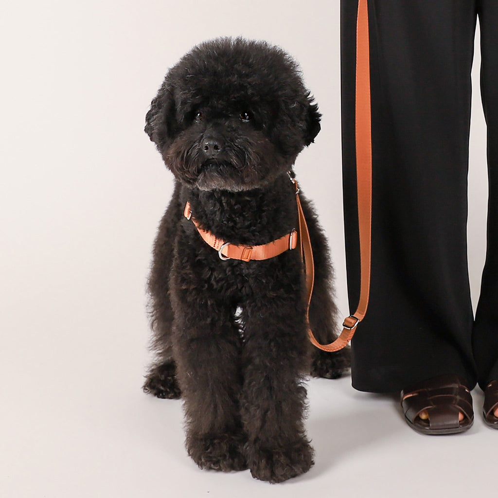 Horsebit Harness : Mocha
