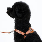 Horsebit Harness : Mocha