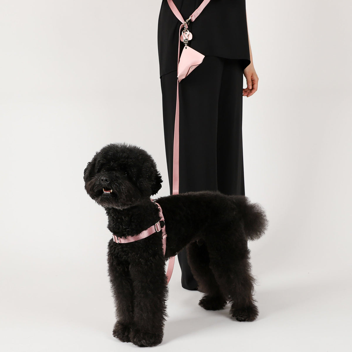 Horsebit Harness : Camel