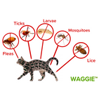 Natural Anti-Flea, Tick, & Mosquito Collar (Human-Grade 8+ Months Protection)