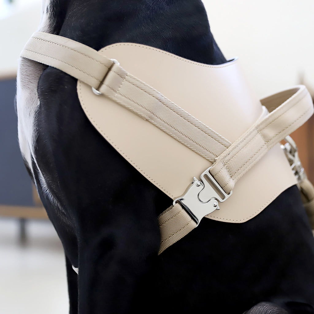 Saddle Harness : Beige