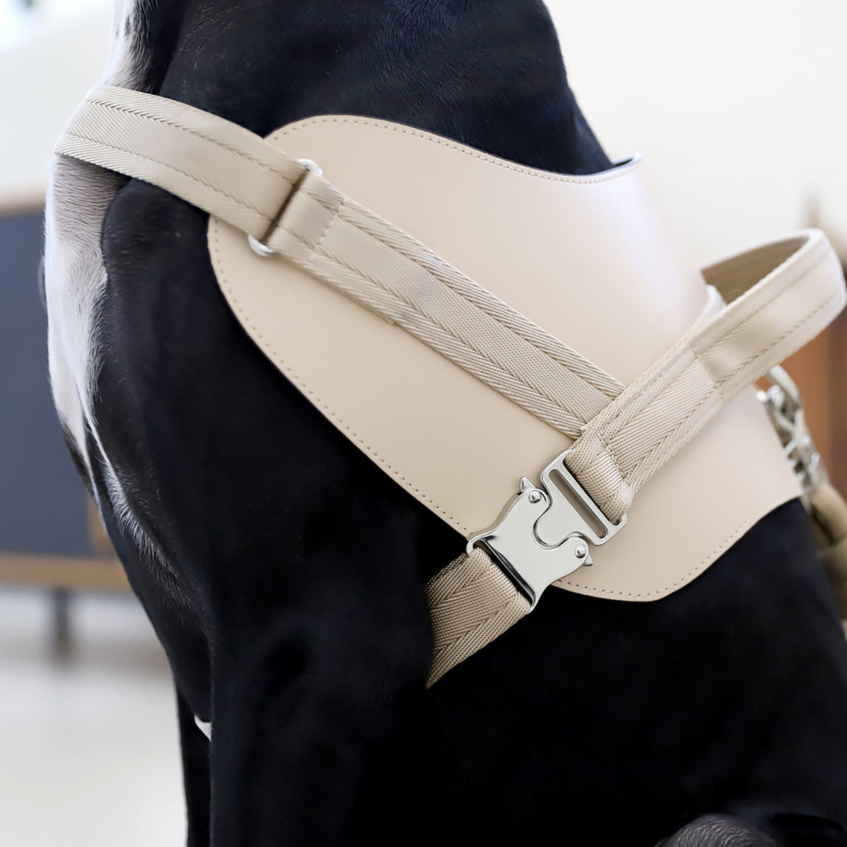 Saddle Harness : Beige
