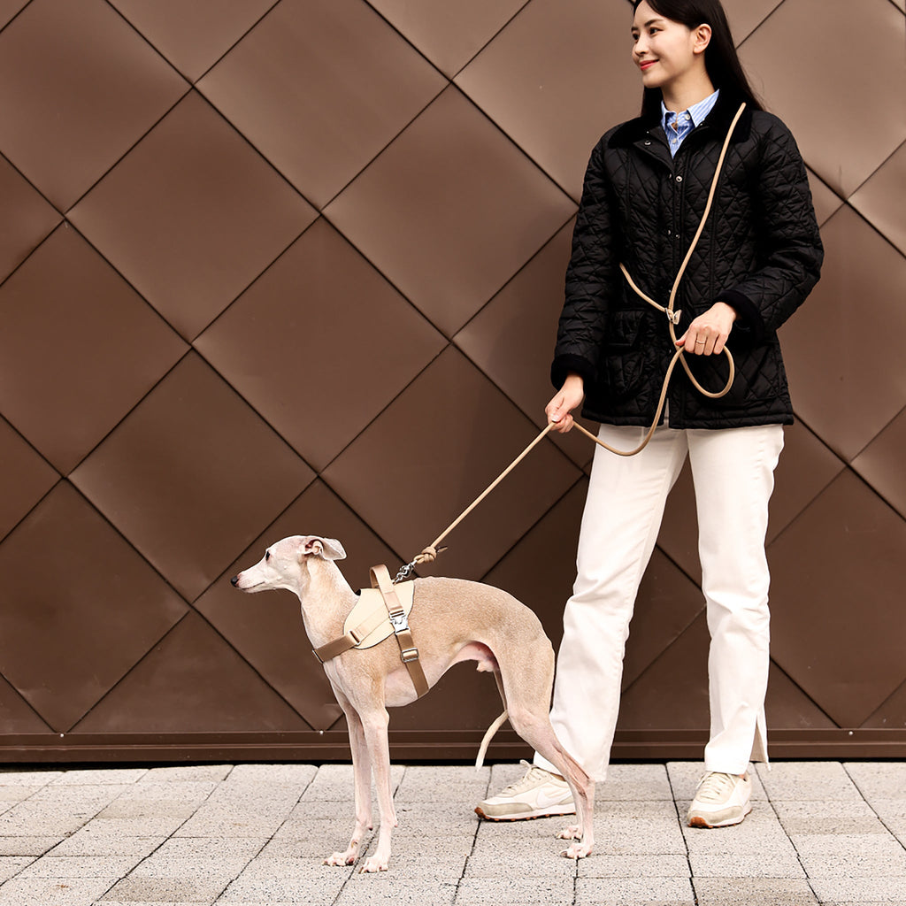 Saddle Harness : Beige