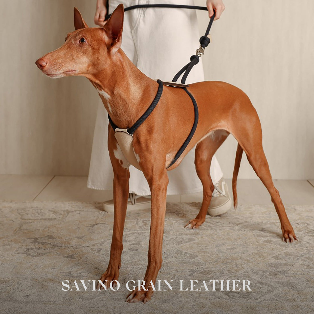 Essential Harness - Navy