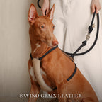 Essential Harness - Navy