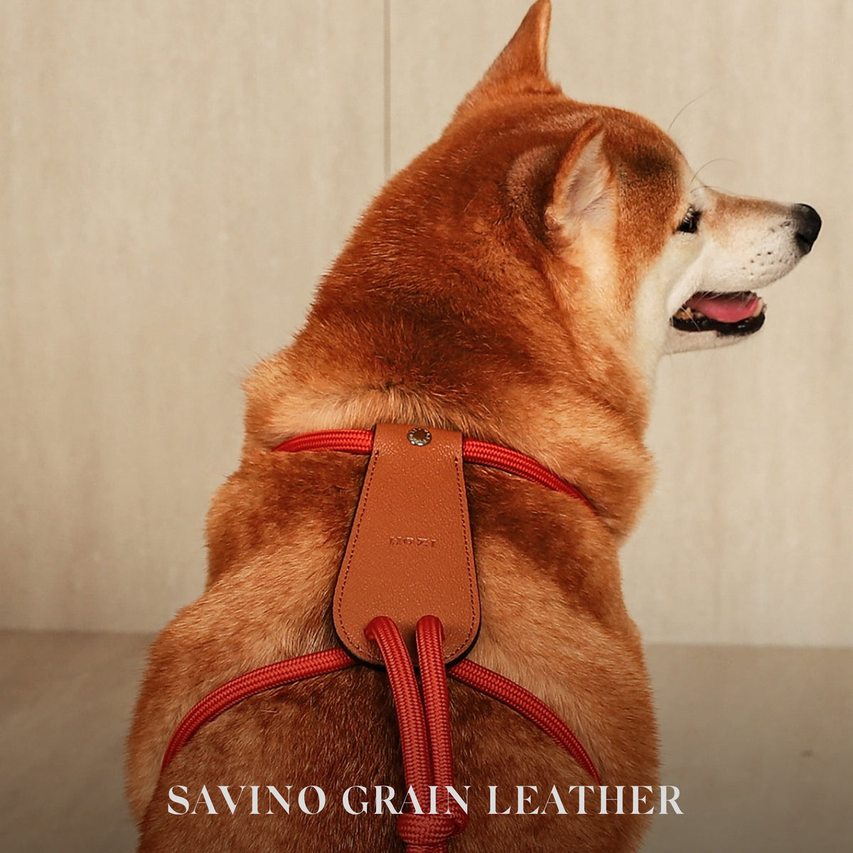 Essential Harness - Orange