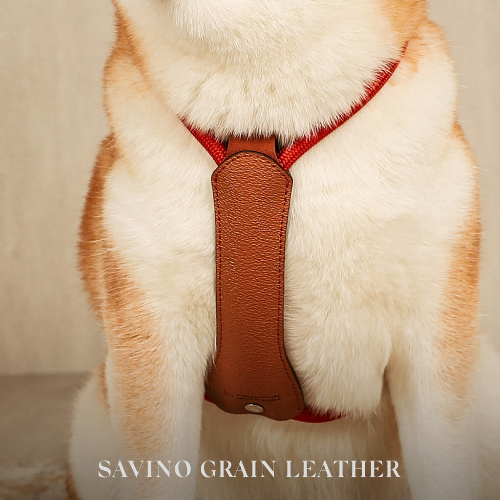 Essential Harness - Orange