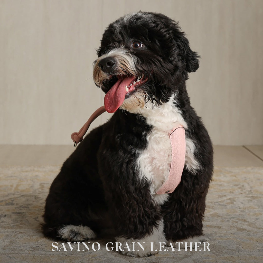 Essential Harness - Pink