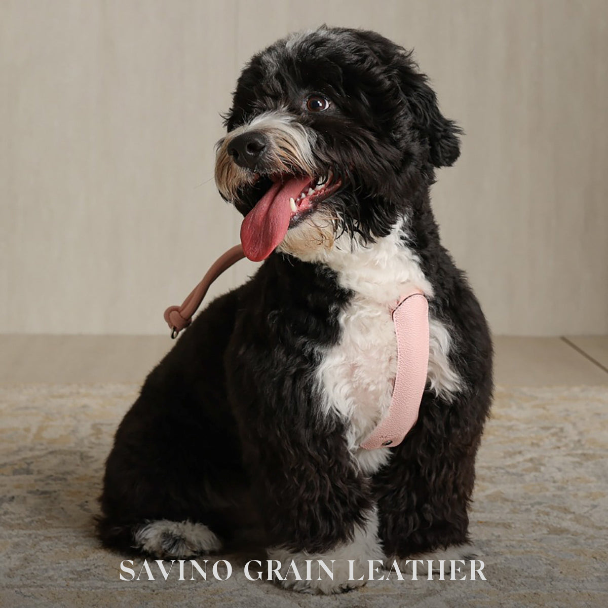 Essential Harness - Pink