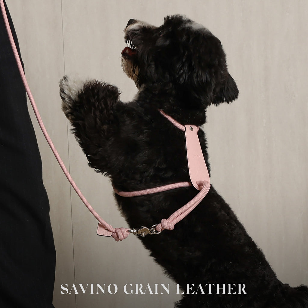 Essential Harness - Pink