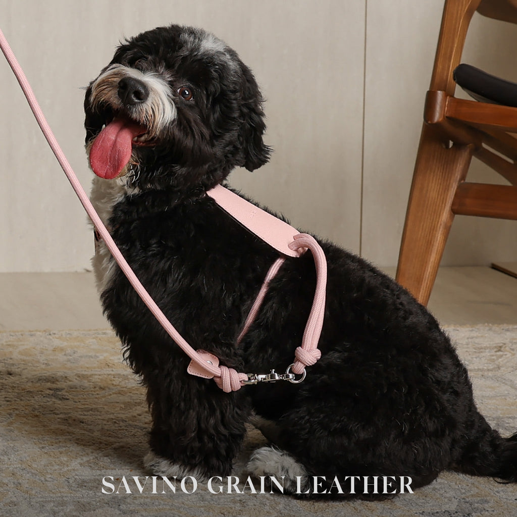 Essential Harness - Pink