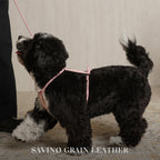 Essential Harness - Pink