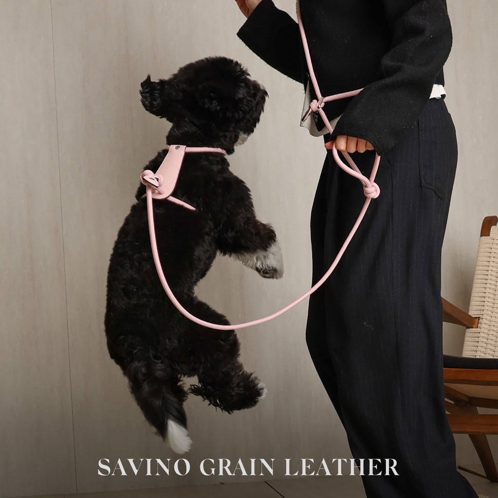 Essential Harness - Pink