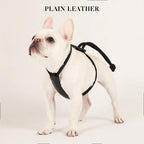 Essential Harness - Black