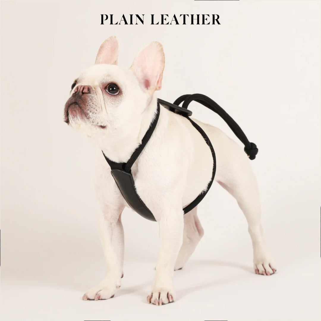 Essential Harness - Black