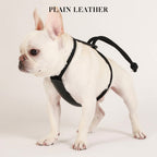Essential Harness - Black