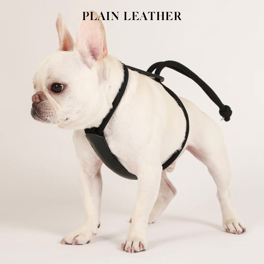 Essential Harness - Black