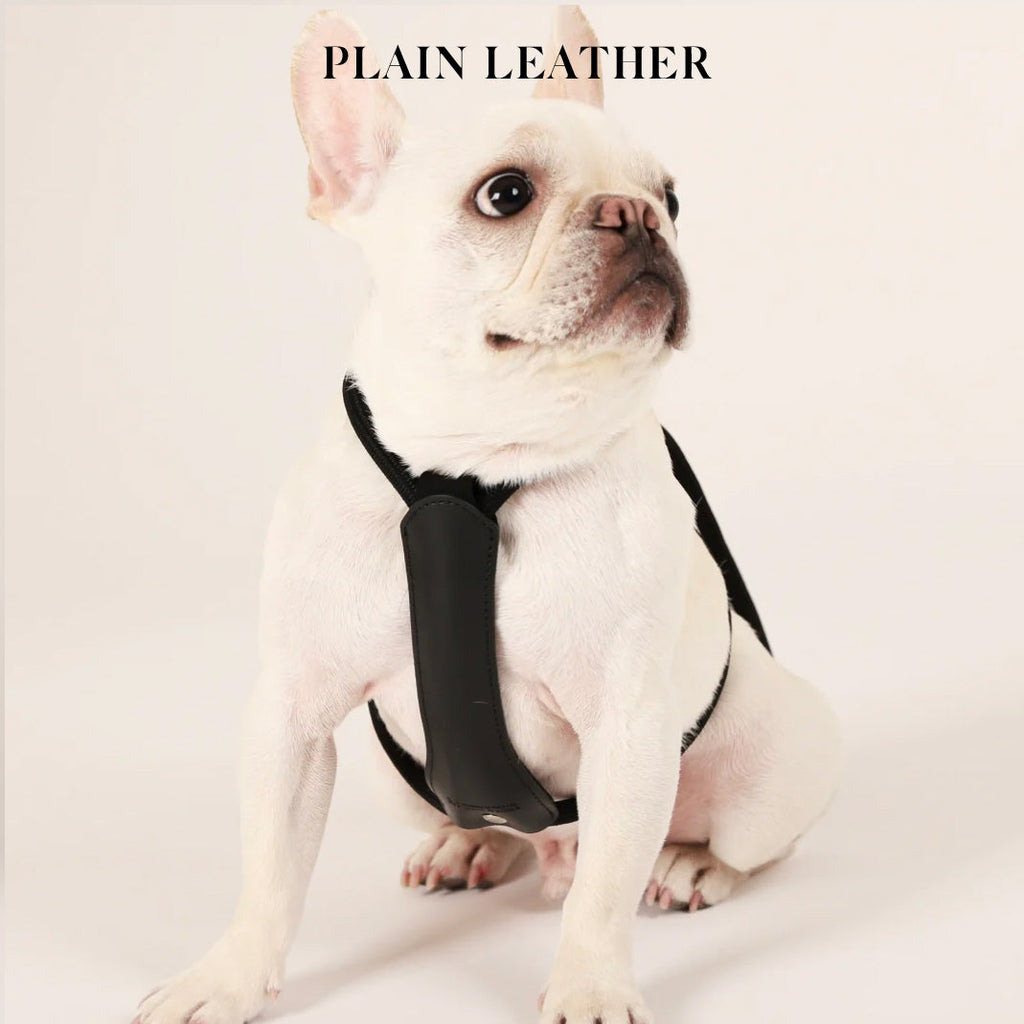 Essential Harness - Black