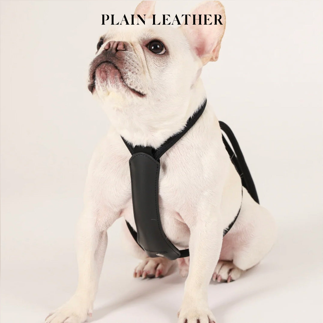Essential Harness - Black