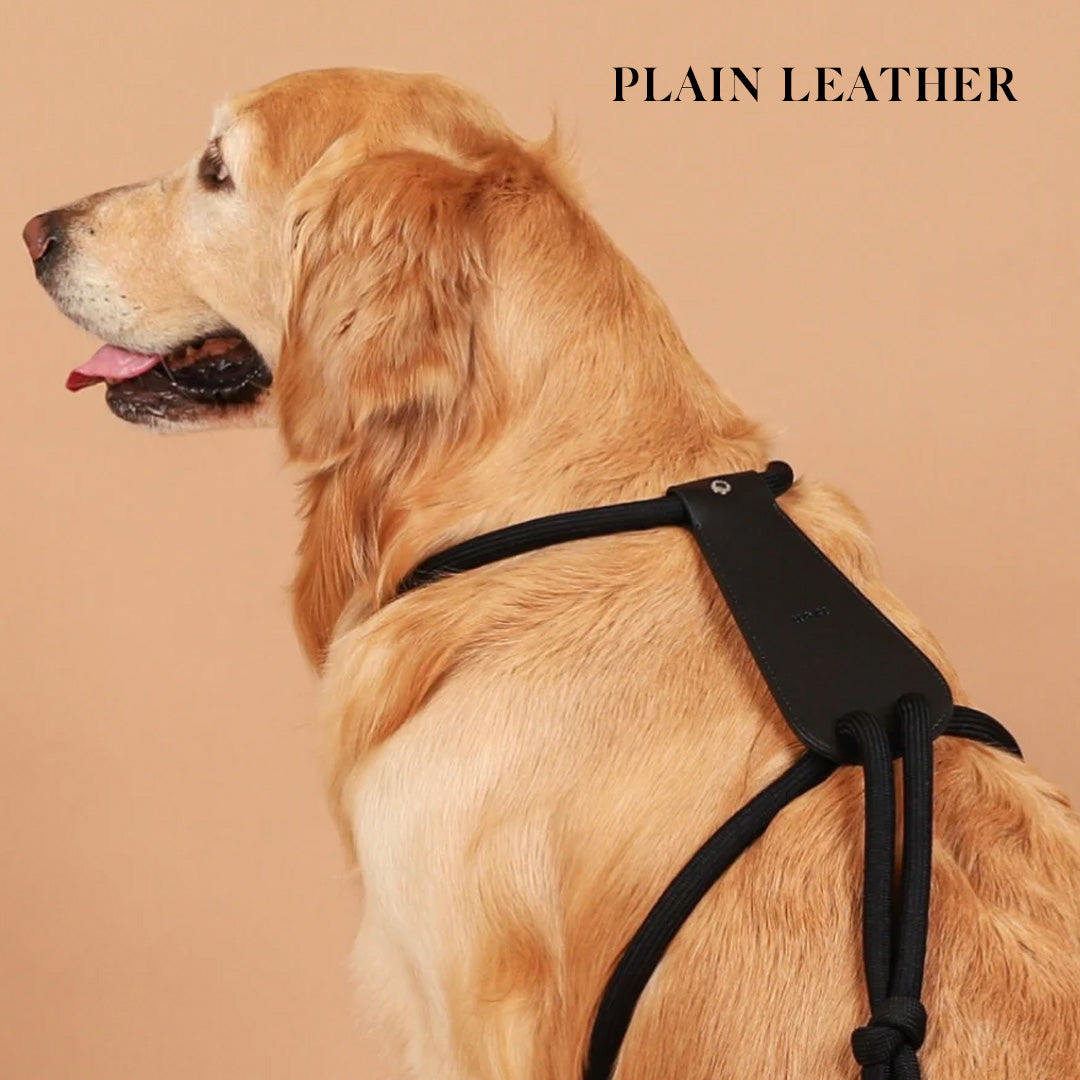 Essential Harness - Black