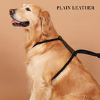 Essential Harness - Black