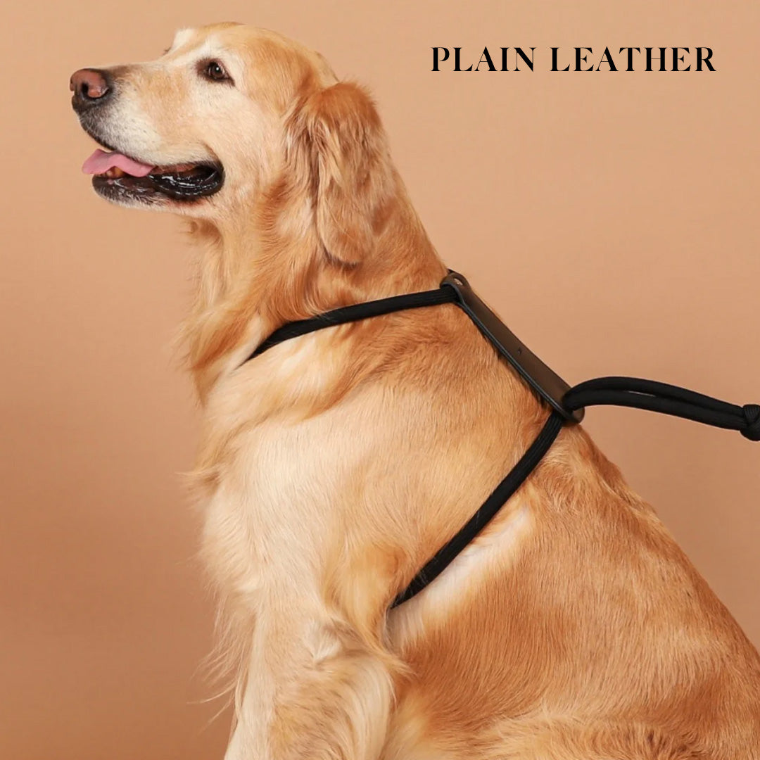 Essential Harness - Black