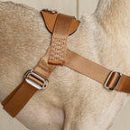 Bridle Harness : Mocha