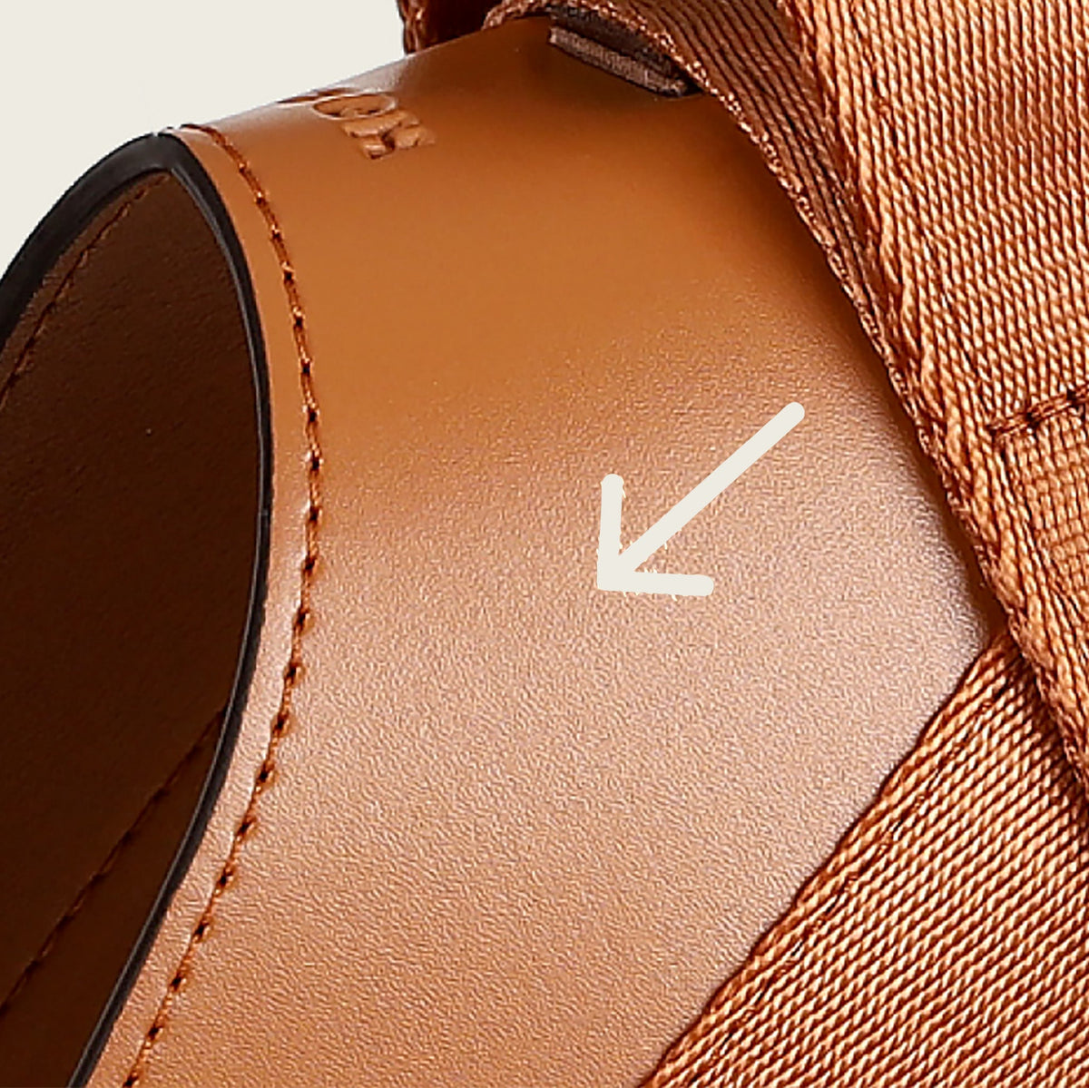 Saddle Harness : Camel