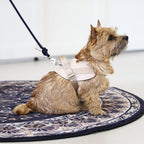 Saddle Harness : Beige