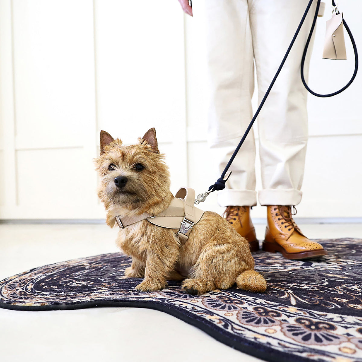 Saddle Harness : Beige