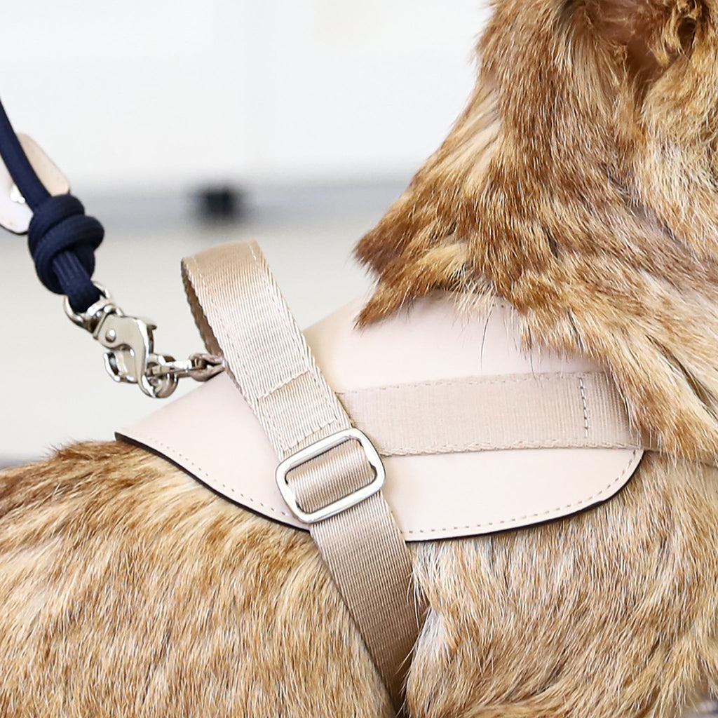 Saddle Harness : Beige