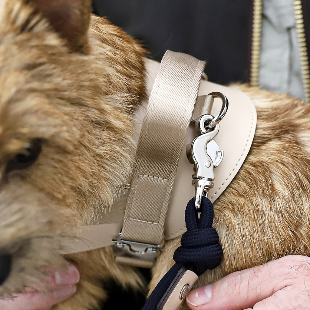 Saddle Harness : Beige