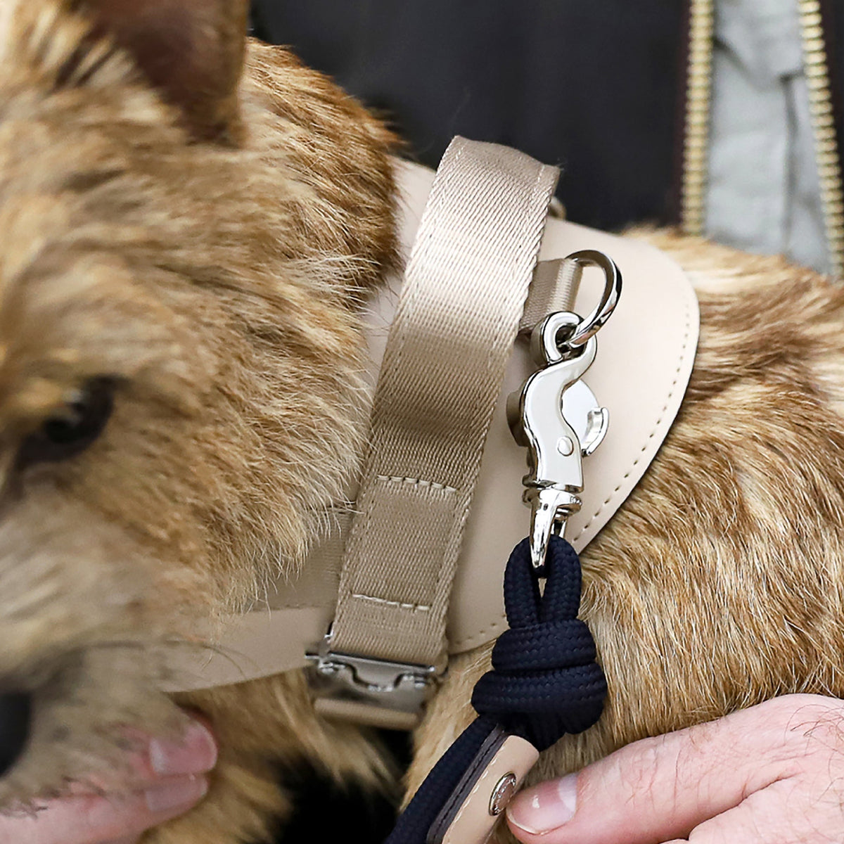 Saddle Harness : Beige