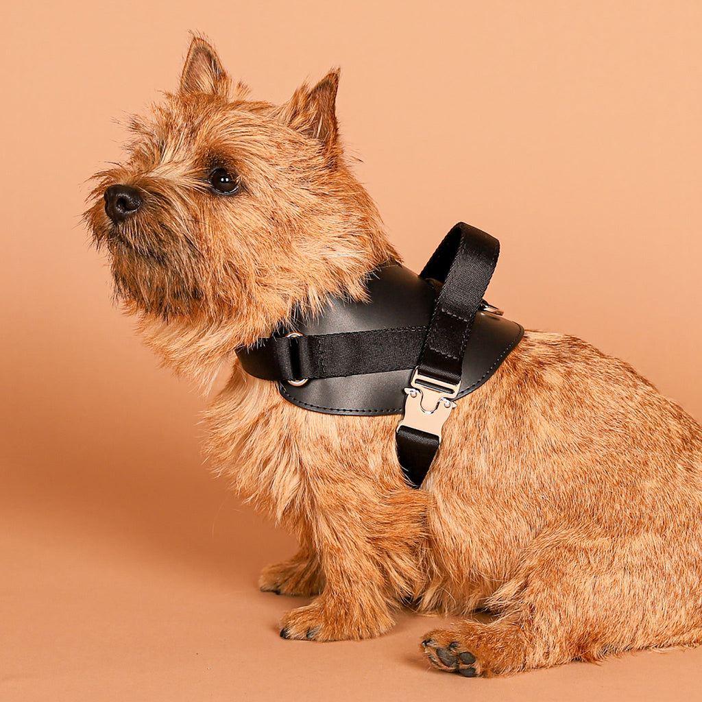 Saddle Harness : Black