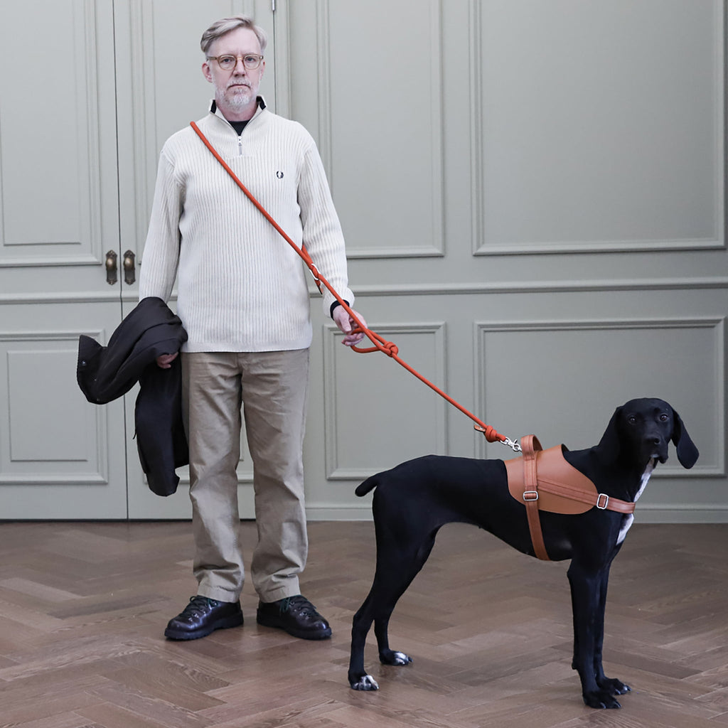 Saddle Harness : Camel