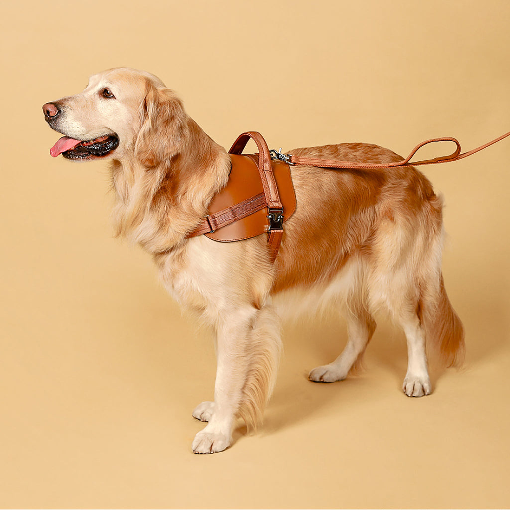Saddle Harness : Camel