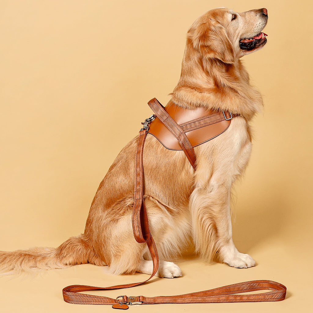 Saddle Harness : Camel