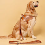 Saddle Harness : Camel