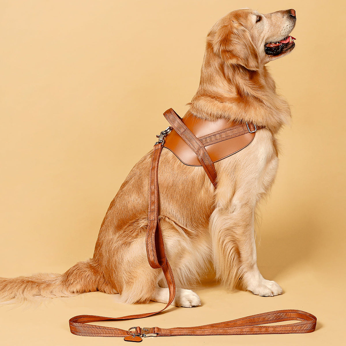 Saddle Harness : Camel