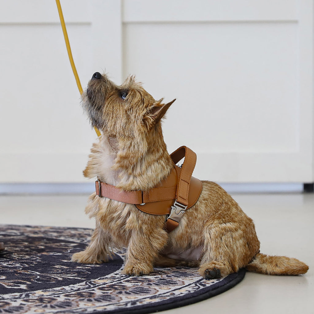 Saddle Harness : Camel