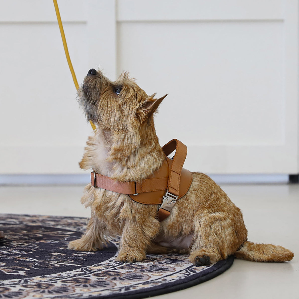 Saddle Harness : Camel