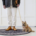 Saddle Harness : Camel