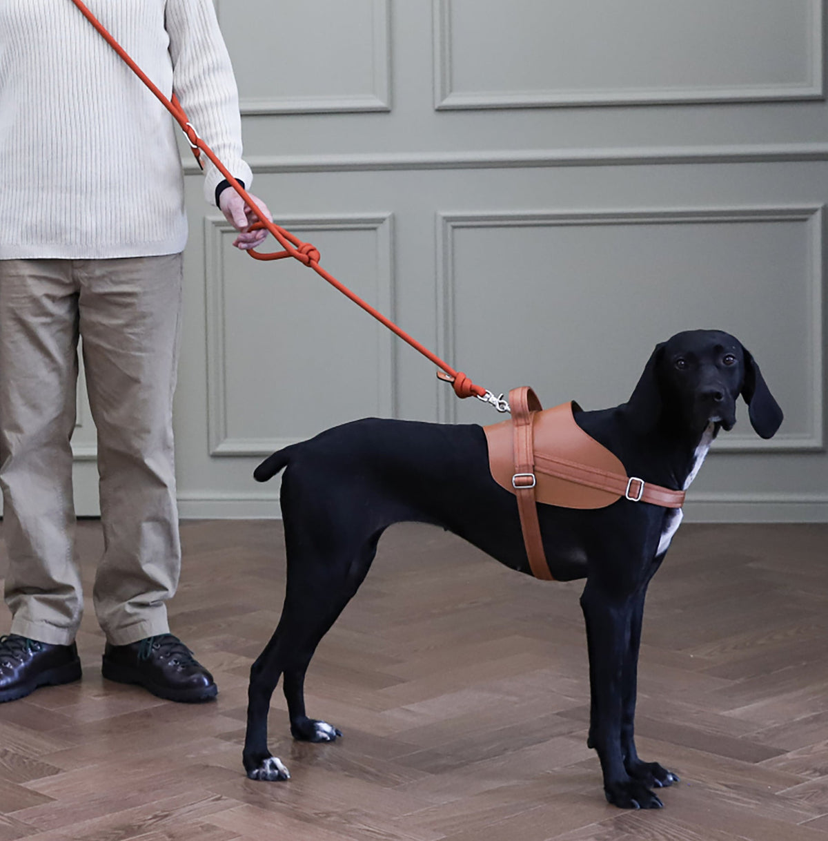 Saddle Harness : Camel