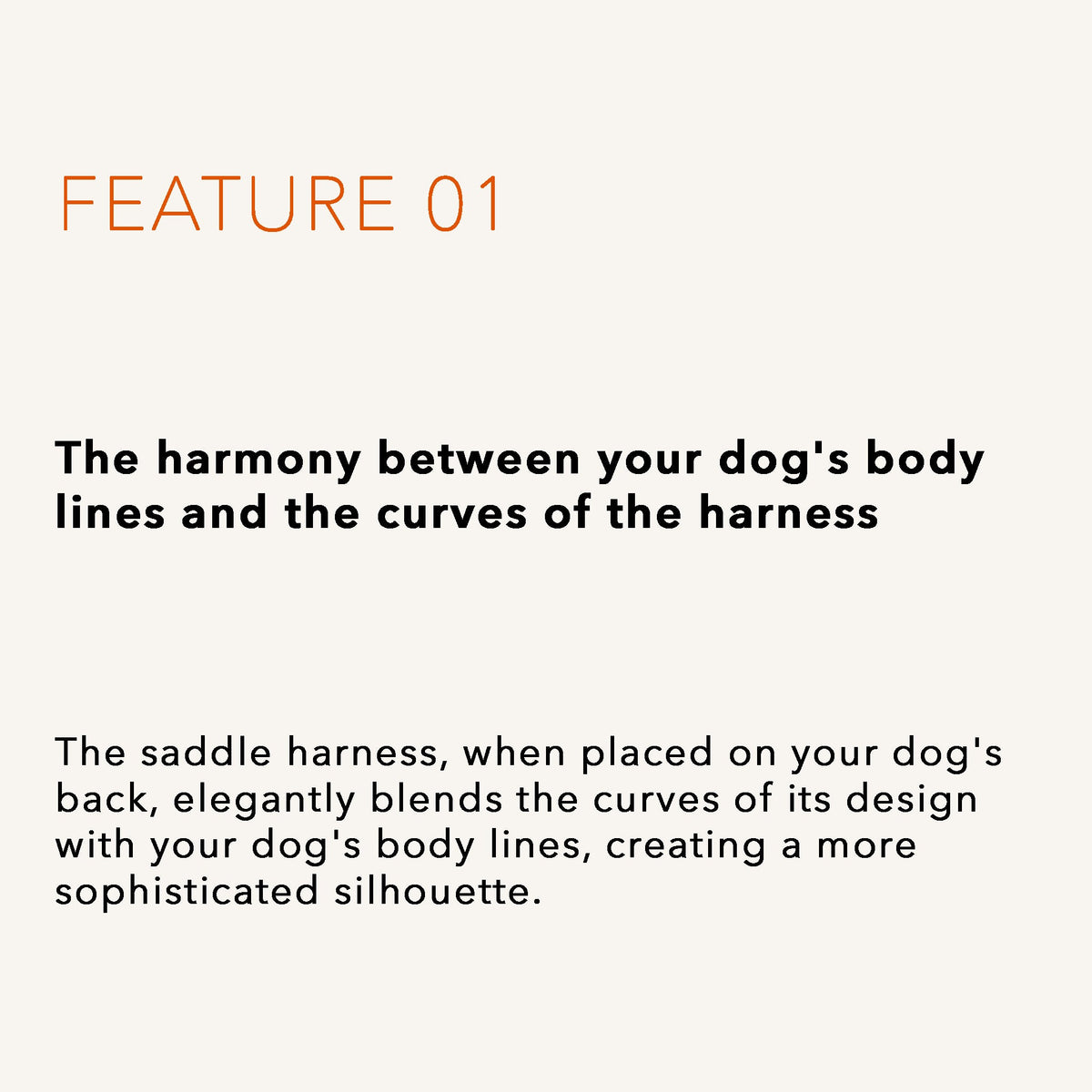 Saddle Harness : Mocha