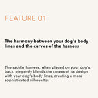 Saddle Harness : Camel